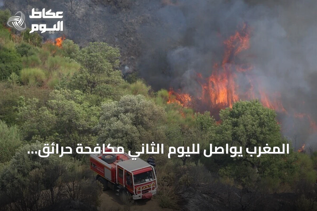 المغرب يواصل لليوم الثاني مكافحة حرائق غابات التهمت 14 هكتاراً في الحوز