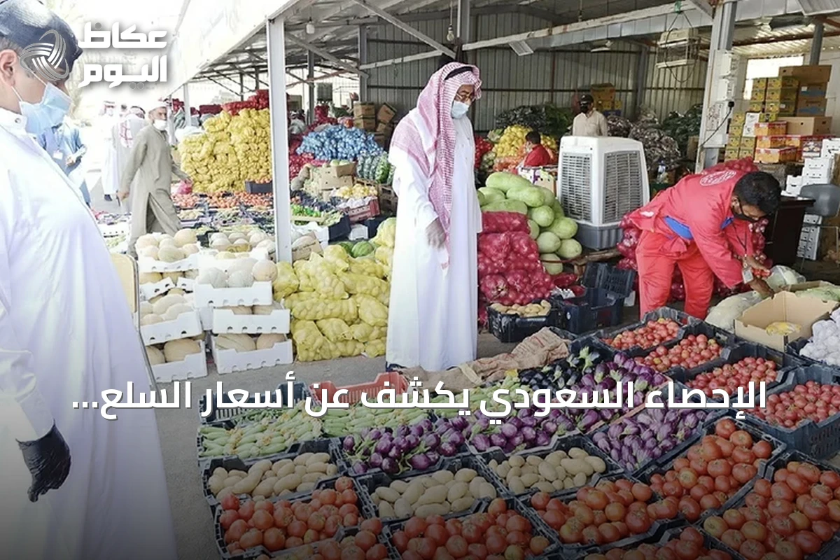 الإحصاء السعودي يكشف عن أسعار السلع الاستهلاكية لشهر يونيو 2026