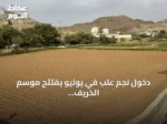 دخول نجم علب في يوليو يفتتح موسم الخريف والأمطار بعسير