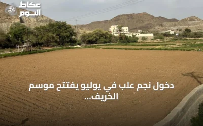دخول نجم علب في يوليو يفتتح موسم الخريف والأمطار بعسير