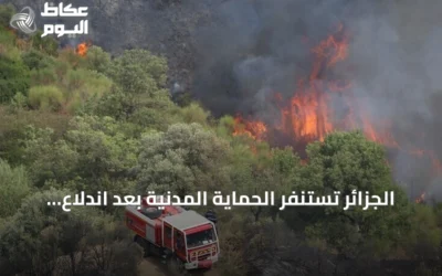 الجزائر تستنفر الحماية المدنية بعد اندلاع 111 حريق غابات ومحاصيل