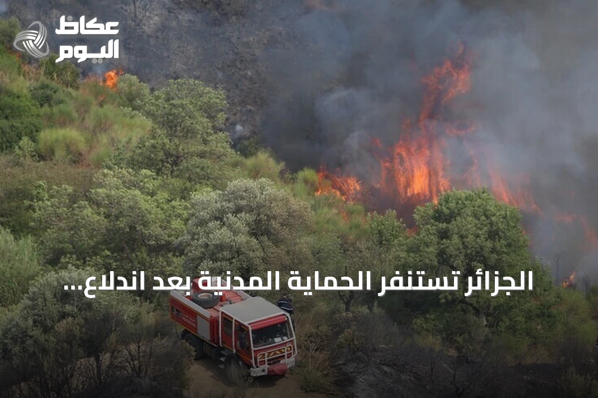 الجزائر تستنفر الحماية المدنية بعد اندلاع 111 حريق غابات ومحاصيل