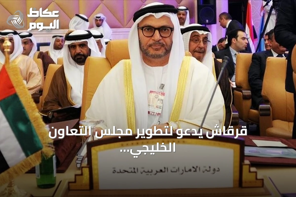 قرقاش يدعو لتطوير مجلس التعاون الخليجي لحماية الأمن المشترك