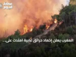 المغرب يعلن إخماد حرائق غابية امتدت على 115 هكتارًا