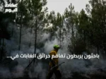 باحثون يربطون تفاقم حرائق الغابات في فرنسا وإسبانيا بتغير المناخ