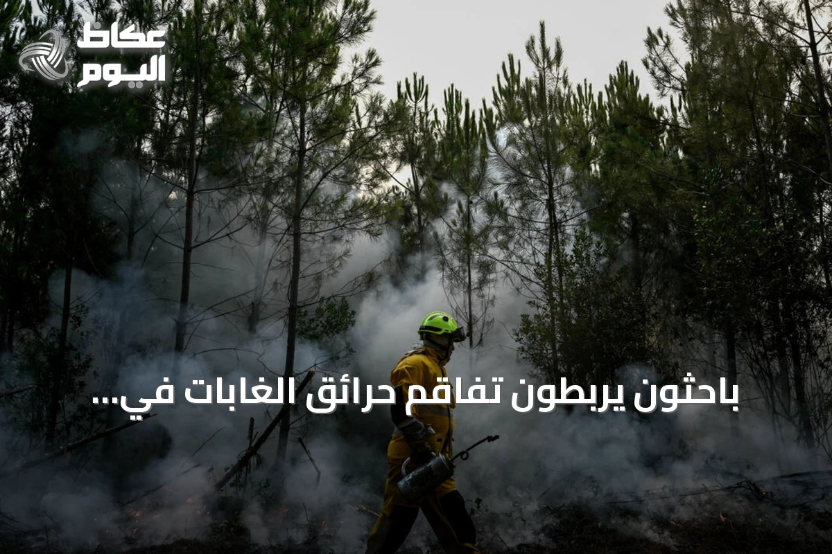 باحثون يربطون تفاقم حرائق الغابات في فرنسا وإسبانيا بتغير المناخ