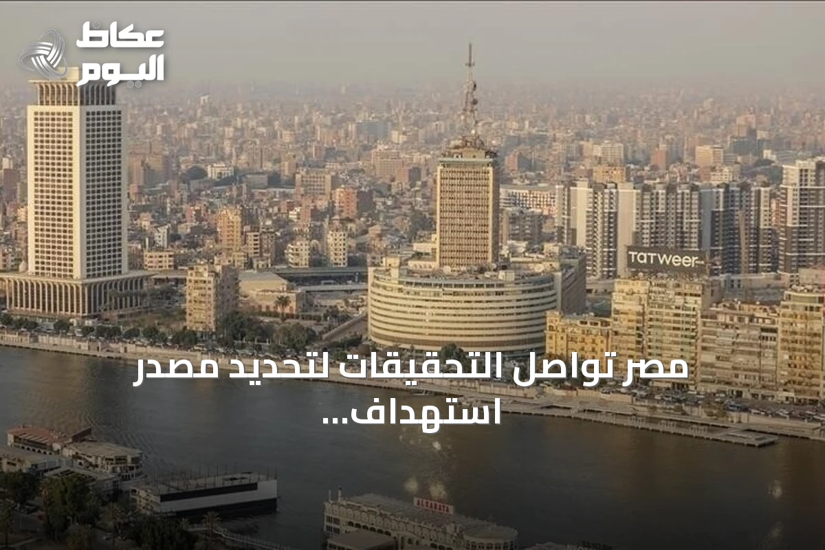 مصر تواصل التحقيقات لتحديد مصدر استهداف سفينتين بميناء دمياط