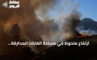 ارتفاع ملحوظ في مساحة الغابات المحترقة بدول الاتحاد الأوروبي خلال 2026