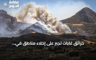 حرائق غابات تجبر على إخلاء مناطق في اليونان وفرنسا وإسبانيا مع ارتفاع وفيات الحر
