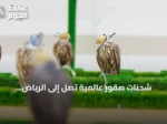 شحنات صقور عالمية تصل إلى الرياض استعدادًا للمزاد الدولي 2026