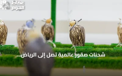 شحنات صقور عالمية تصل إلى الرياض استعدادًا للمزاد الدولي 2026