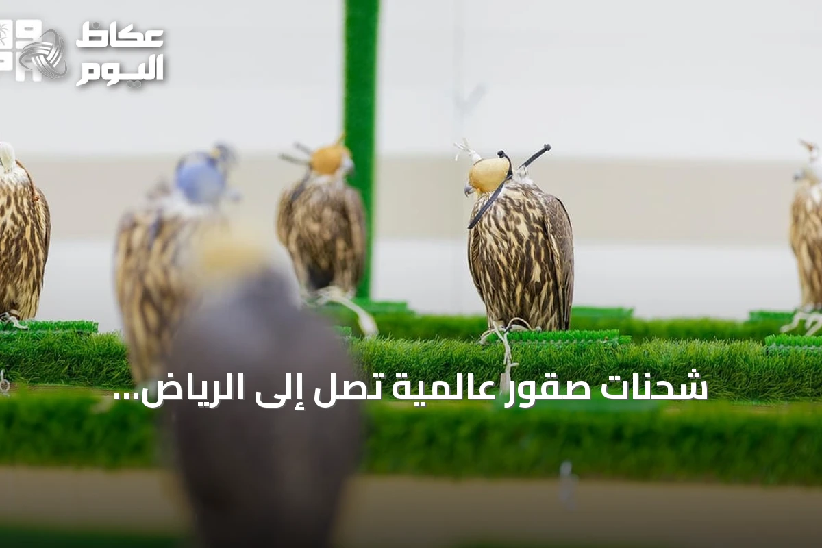 شحنات صقور عالمية تصل إلى الرياض استعدادًا للمزاد الدولي 2026