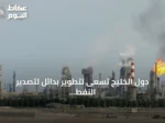 دول الخليج تسعى لتطوير بدائل لتصدير النفط بعد إغلاق مضيق هرمز