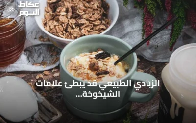 الزبادي الطبيعي قد يبطئ علامات الشيخوخة البيولوجية وفق دراسة يابانية