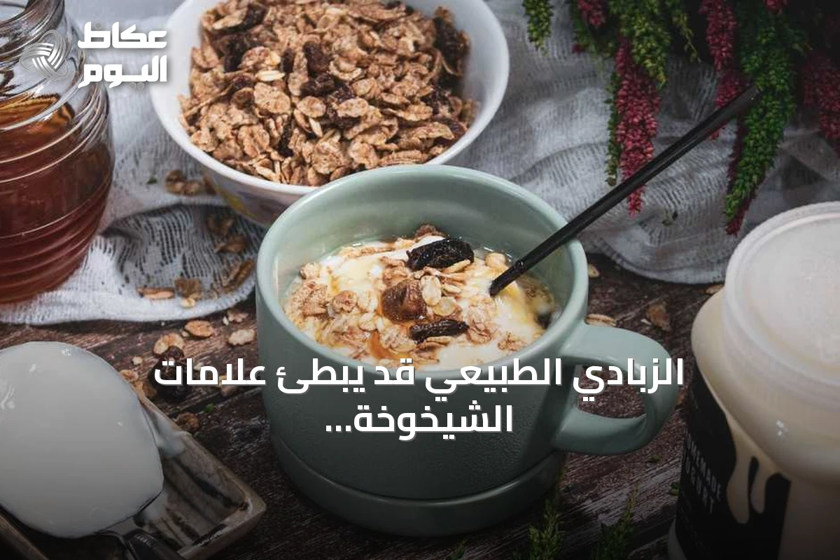 الزبادي الطبيعي قد يبطئ علامات الشيخوخة البيولوجية وفق دراسة يابانية