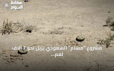 مشروع “مسام” السعودي يزيل نحو 7 آلاف لغم وذخيرة في اليمن خلال يوليو