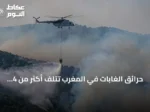 حرائق الغابات في المغرب تتلف أكثر من 4 آلاف هكتار منذ بداية 2026