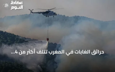 حرائق الغابات في المغرب تتلف أكثر من 4 آلاف هكتار منذ بداية 2026