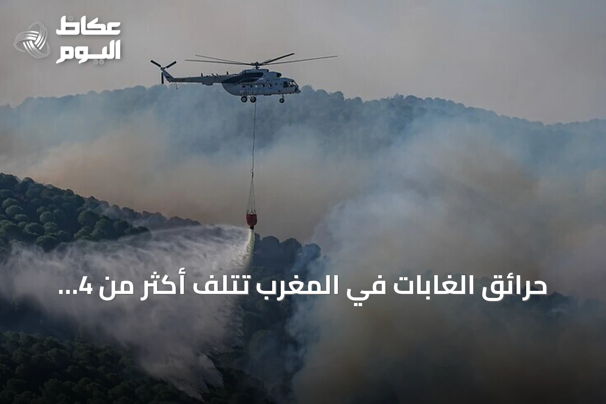 حرائق الغابات في المغرب تتلف أكثر من 4 آلاف هكتار منذ بداية 2026