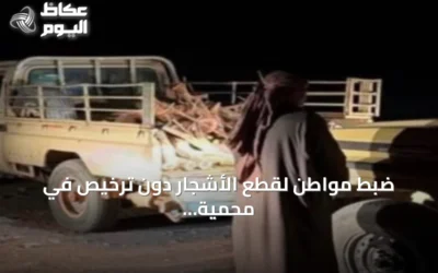 ضبط مواطن لقطع الأشجار دون ترخيص في محمية الأمير محمد بن سلمان الملكية ومصادرة منشار كهربائي