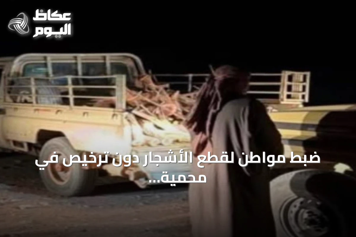 ضبط مواطن لقطع الأشجار دون ترخيص في محمية الأمير محمد بن سلمان الملكية ومصادرة منشار كهربائي