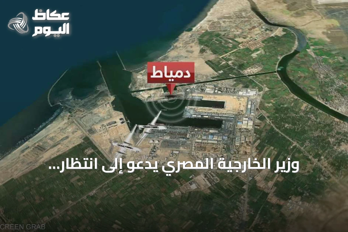 وزير الخارجية المصري يدعو إلى انتظار نتائج تحقيقات استهداف سفينتي دمياط