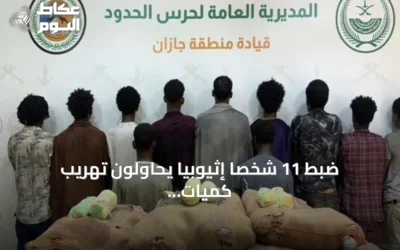 ضبط 11 شخصًا إثيوبيًا يحاولون تهريب كميات كبيرة من القات في جازان