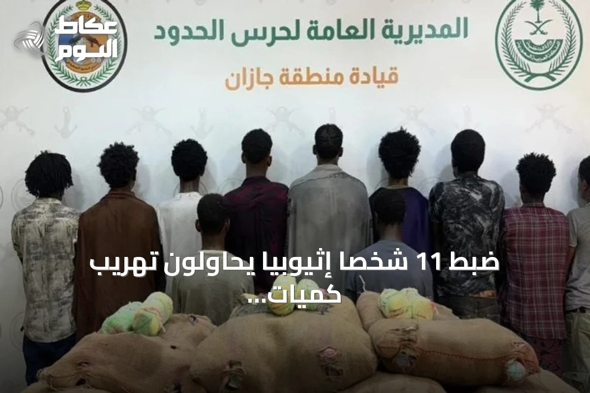 ضبط 11 شخصًا إثيوبيًا يحاولون تهريب كميات كبيرة من القات في جازان
