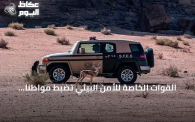 القوات الخاصة للأمن البيئي تضبط مواطنًا رعى إبلًا في مناطق محظورة بمحمية الإمام تركي بن عبدالله الملكية