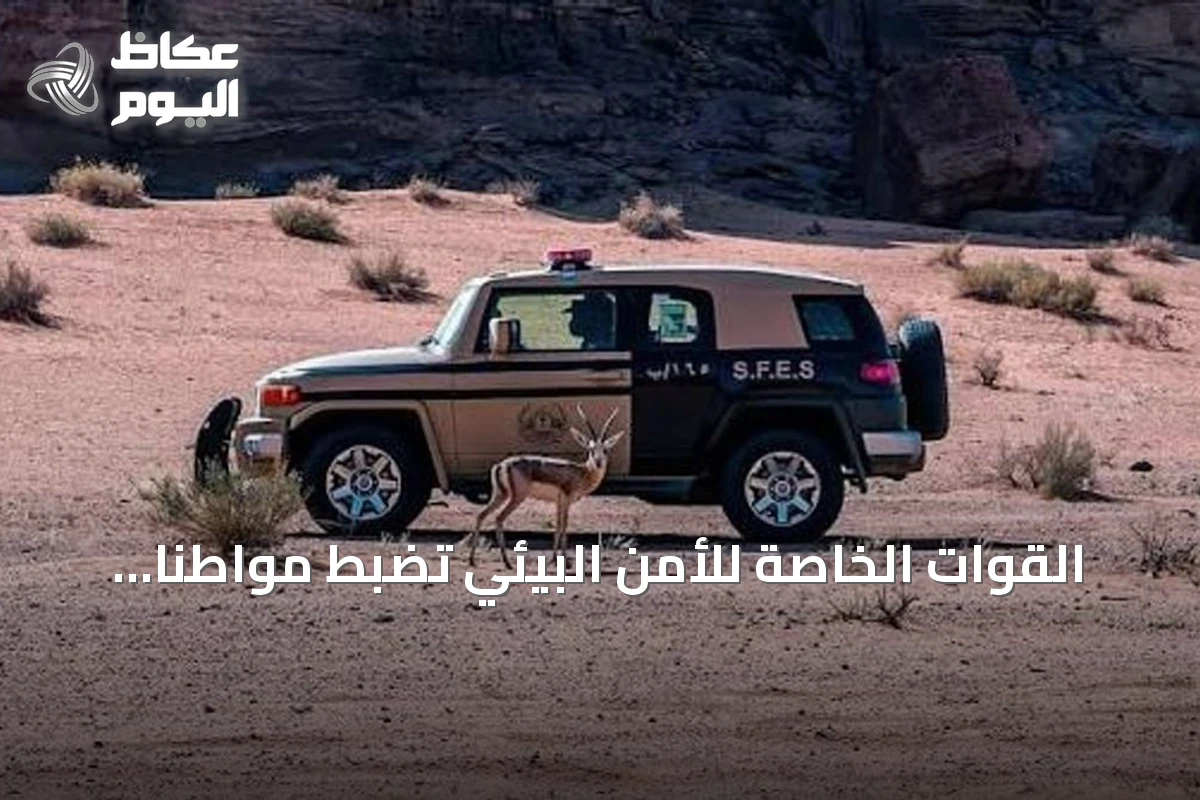 القوات الخاصة للأمن البيئي تضبط مواطنًا رعى إبلًا في مناطق محظورة بمحمية الإمام تركي بن عبدالله الملكية