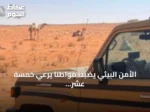 الأمن البيئي يضبط مواطنًا يرعي خمسة عشر بعيرًا في محمية الإمام تركي بن Abdullah الملكية
