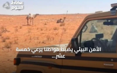 الأمن البيئي يضبط مواطنًا يرعي خمسة عشر بعيرًا في محمية الإمام تركي بن Abdullah الملكية