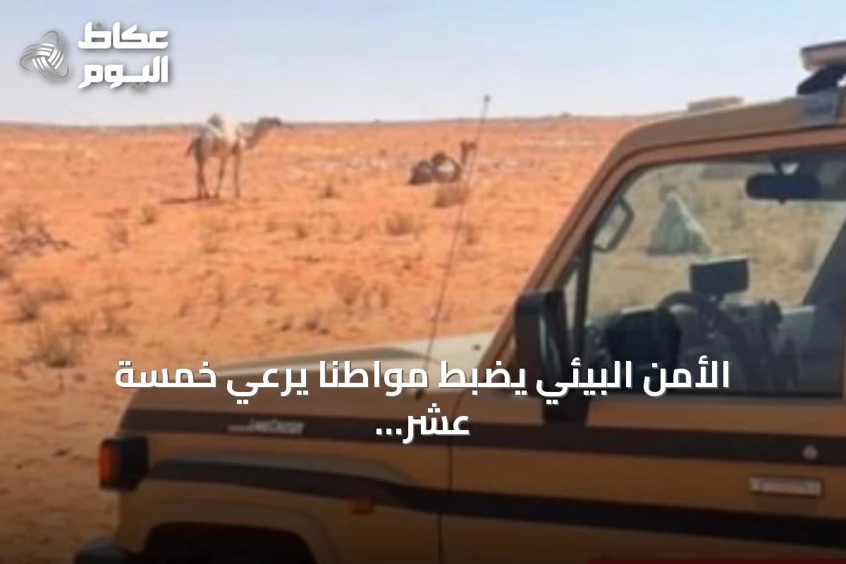 الأمن البيئي يضبط مواطنًا يرعي خمسة عشر بعيرًا في محمية الإمام تركي بن Abdullah الملكية