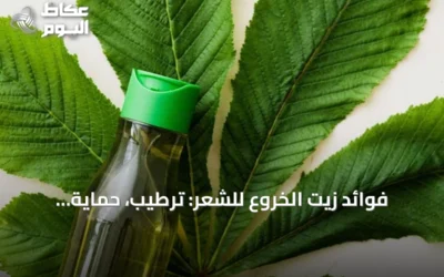 فوائد زيت الخروع للشعر: ترطيب، حماية، ودعم النمو