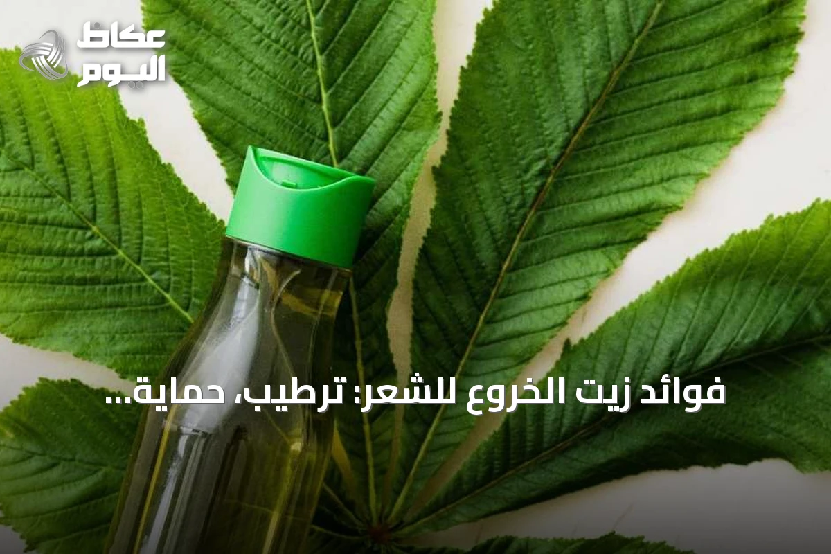 فوائد زيت الخروع للشعر: ترطيب، حماية، ودعم النمو
