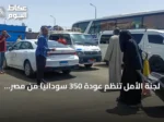 لجنة الأمل تُنظم عودة 350 سودانيًا من مصر عبر حافلات ضمن برنامج العودة الطوعية