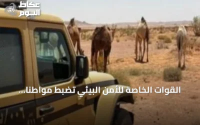 القوات الخاصة للأمن البيئي تضبط مواطنًا رعى إبلاً في مناطق محمية محظورة