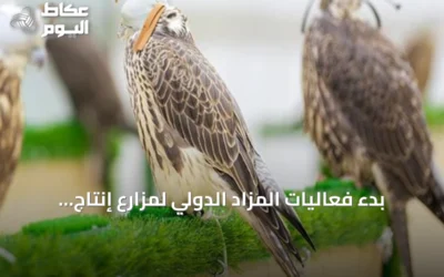 بدء فعاليات المزاد الدولي لمزارع إنتاج الصقور 2026 بمشاركة محلية وعالمية في الرياض