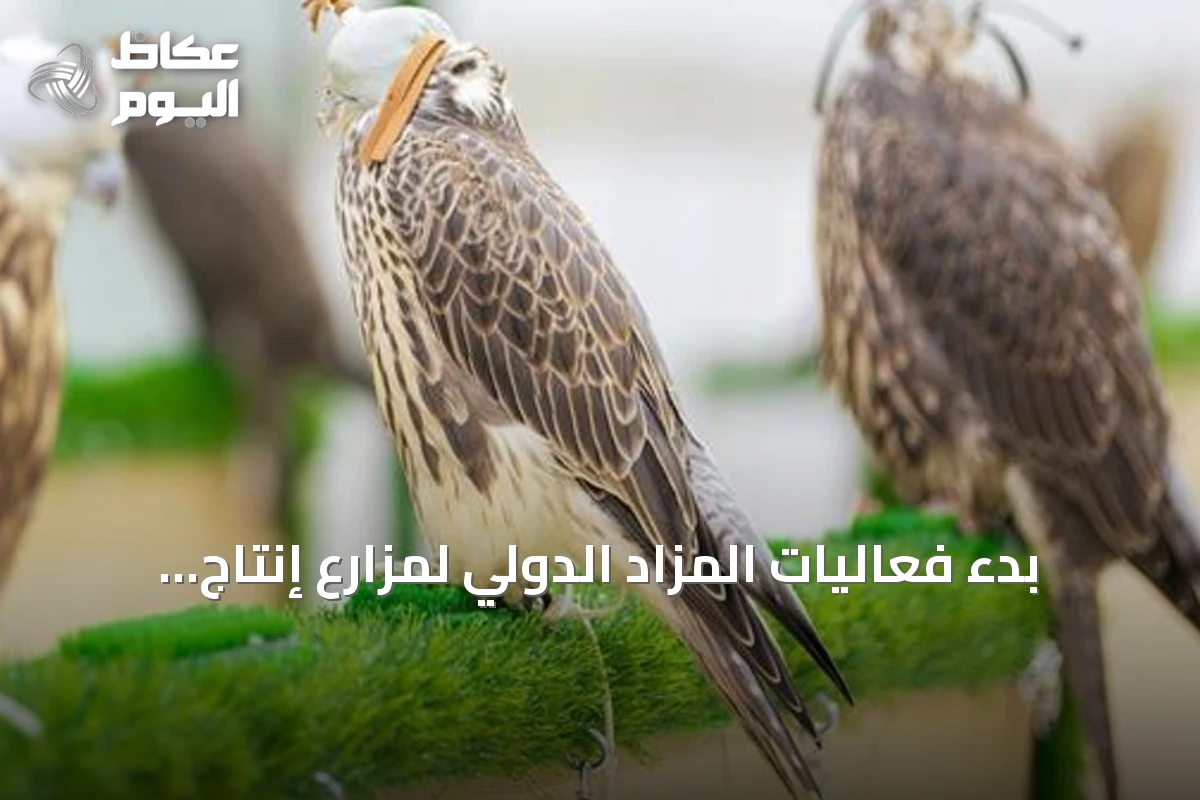 بدء فعاليات المزاد الدولي لمزارع إنتاج الصقور 2026 بمشاركة محلية وعالمية في الرياض