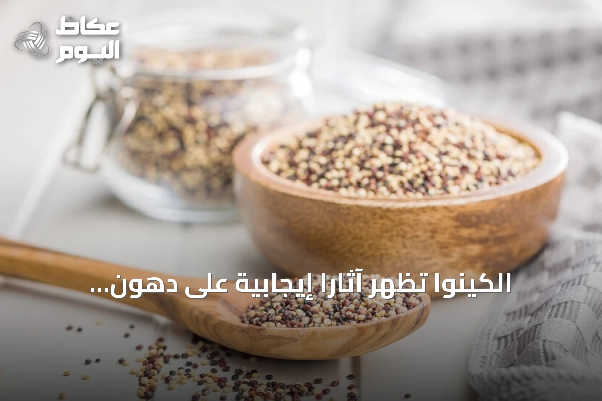الكينوا تُظهر آثارًا إيجابية على دهون الكبد ومؤشرات الصحة الأيضية