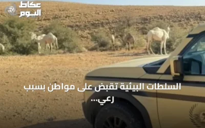 السلطات البيئية تقبض على مواطن بسبب رعي الإبل في منطقة محظورة بالمحمية الملكية