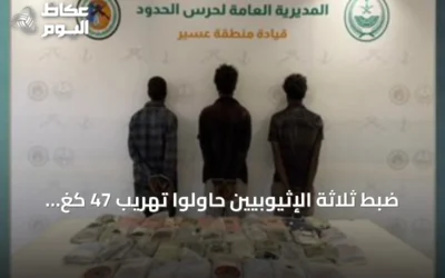 ضبط ثلاثة الإثيوبيين حاولوا تهريب 47 كغ من الحشيش في قطاع الربوعة بعسير