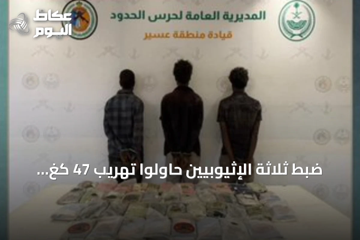 ضبط ثلاثة الإثيوبيين حاولوا تهريب 47 كغ من الحشيش في قطاع الربوعة بعسير