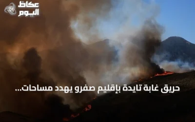 حريق غابة تايدة بإقليم صفرو يهدد مساحات واسعة والجهود مستمرة للسيطرة عليه