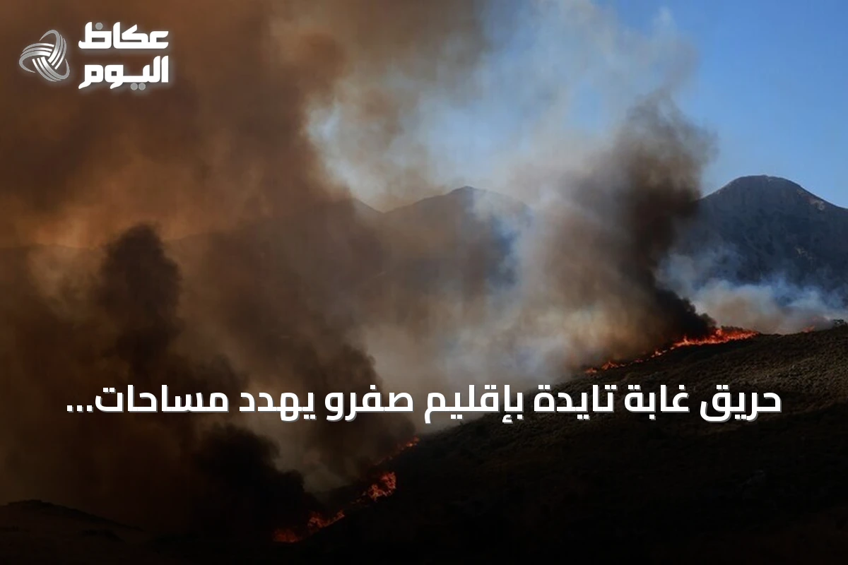 حريق غابة تايدة بإقليم صفرو يهدد مساحات واسعة والجهود مستمرة للسيطرة عليه