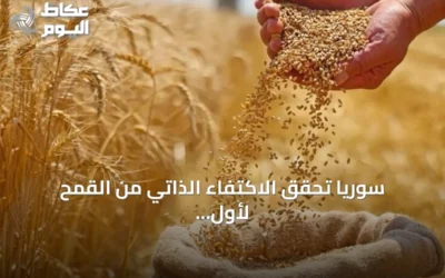 سوريا تحقق الاكتفاء الذاتي من القمح لأول مرة منذ سنوات
