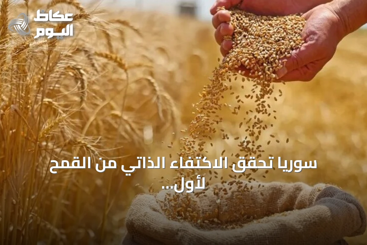سوريا تحقق الاكتفاء الذاتي من القمح لأول مرة منذ سنوات