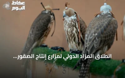 انطلاق المزاد الدولي لمزارع إنتاج الصقور 2026 بمشاركة نخبة من المنتجين في ملهم