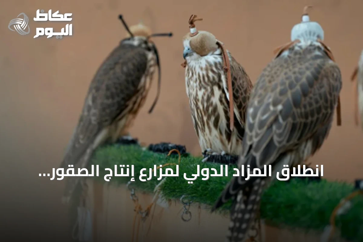 انطلاق المزاد الدولي لمزارع إنتاج الصقور 2026 بمشاركة نخبة من المنتجين في ملهم