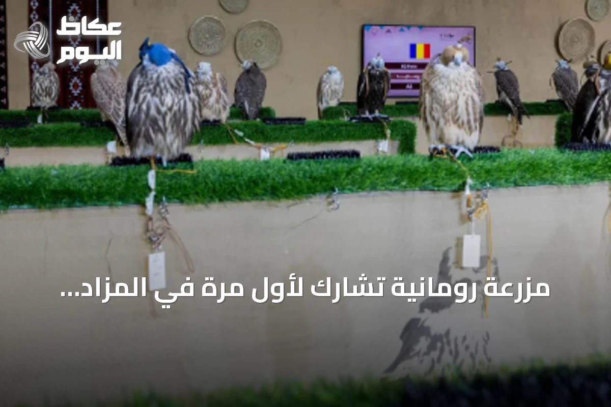 مزرعة رومانية تشارك لأول مرة في المزاد الدولي للصقور 2026 بأكثر من 120 صقراً